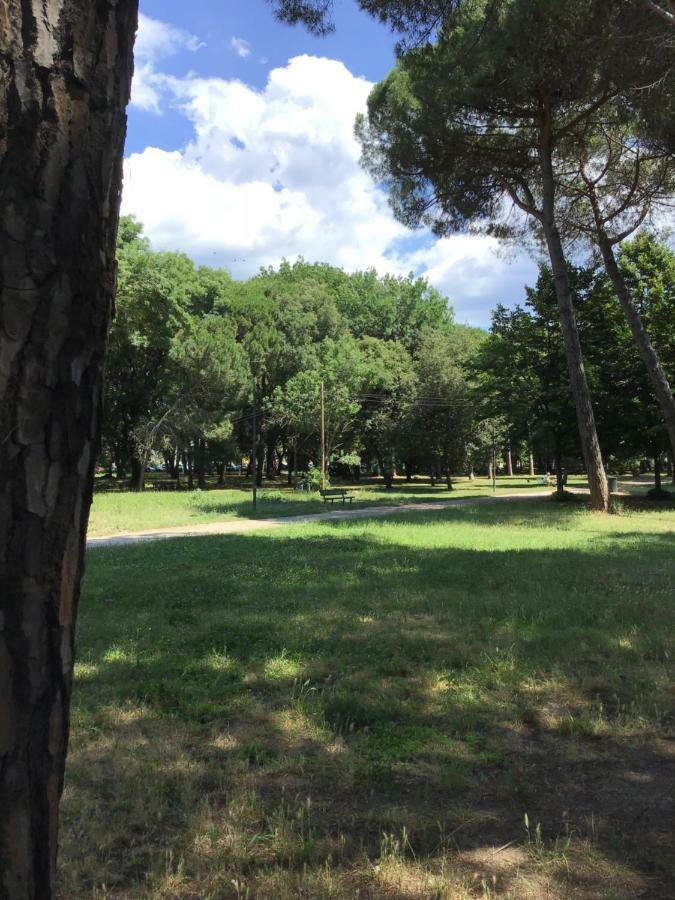 Casalella Villa Viareggio Kültér fotó